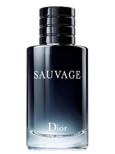 Τύπου Sauvage - Dior Χύμα Άρωμα